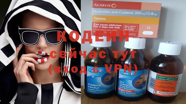 шишки Куйбышев