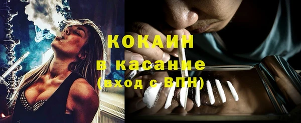 шишки Куйбышев